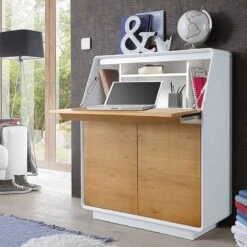 Secrétaire Boge -Meilleur Meubles Magasin 1000027423 190329 07355000001 MOOD GALLERYIMAGES P000000001000027423 mood