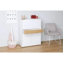 Secrétaire MC 110 16 Secrétaire MC 110 -Meilleur Meubles Magasin 1000204351 200218 08151800021 MOOD DETAILS P000000001000204351 mood