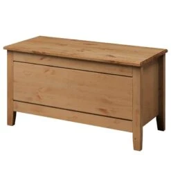 Coffre Eva -Meilleur Meubles Magasin 1000243592 210121 14381900019 IMAGE P000000001000243592