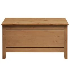 Coffre Eva -Meilleur Meubles Magasin 1000243592 210121 14382100020 DETAILS P000000001000243592