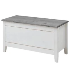 Coffre Eva -Meilleur Meubles Magasin 1000243593 210121 14382500022 IMAGE P000000001000243593