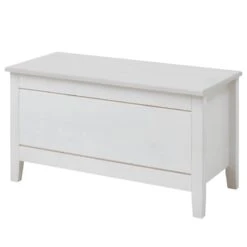 Coffre Eva -Meilleur Meubles Magasin 1000243594 210121 14383200025 IMAGE P000000001000243594