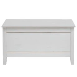 Coffre Eva -Meilleur Meubles Magasin 1000243594 210121 14383400026 DETAILS P000000001000243594