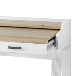 Secrétaire Jasmund -Meilleur Meubles Magasin 1000245013 210504 06312700169 DETAILS P000000001000245013