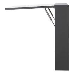 Armoire De Toilette Lindholm II -Meilleur Meubles Magasin 1000247241 230725 060 DETAILS P000000001000247241