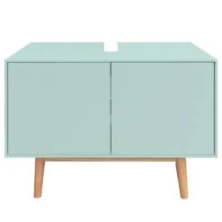 Meuble Sous Lavabo Lindholm -Meilleur Meubles Magasin 1000247244 211026 15560100041 DETAILS P000000001000247244