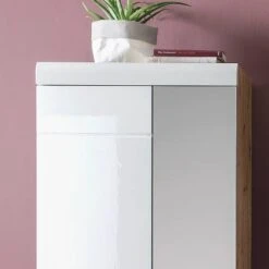 Armoire D’entrée Liffre -Meilleur Meubles Magasin 1000251409 210302 14462100004 DETAILS P000000001000251409