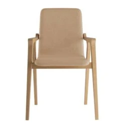 Chaise à Accoudoirs Toma -Meilleur Meubles Magasin 1000274321 210709 14175800182 DETAILS P000000001000274321