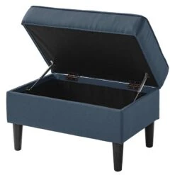 Repose-pieds Capitonné Boddin -Meilleur Meubles Magasin 1000276131 230328 030 DETAILS P000000001000276131