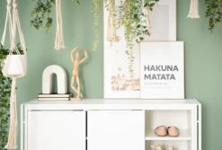 Meuble à Chaussures HERBY -Meilleur Meubles Magasin 1000369282 231020 021 MOOD DETAILS P000000001000369282 mood