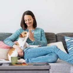 Banquette De Rangement En Velours -Meilleur Meubles Magasin 14bf3530c0074ab1bf6fa93d438046ed