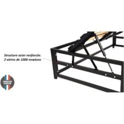 Lit Coffre Gain De Place Savio - Tissu D -Meilleur Meubles Magasin 49b0064bcad54a49aa36da5204b36906