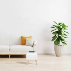 Tabouret Avec Espace De Rangement -Meilleur Meubles Magasin 8db9ca2b4e81455aa69d75472336e101