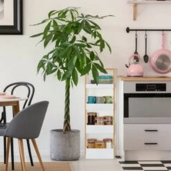 Etagère De Salle De Bain 4 Supports -Meilleur Meubles Magasin 930f44fed5c346ebb3709da0b1f11cc0