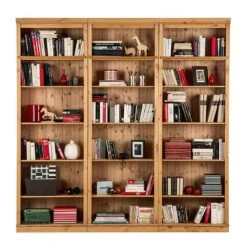 Bibliothèque Lillehammer II -Meilleur Meubles Magasin loft24 anita regal 20131011 316082